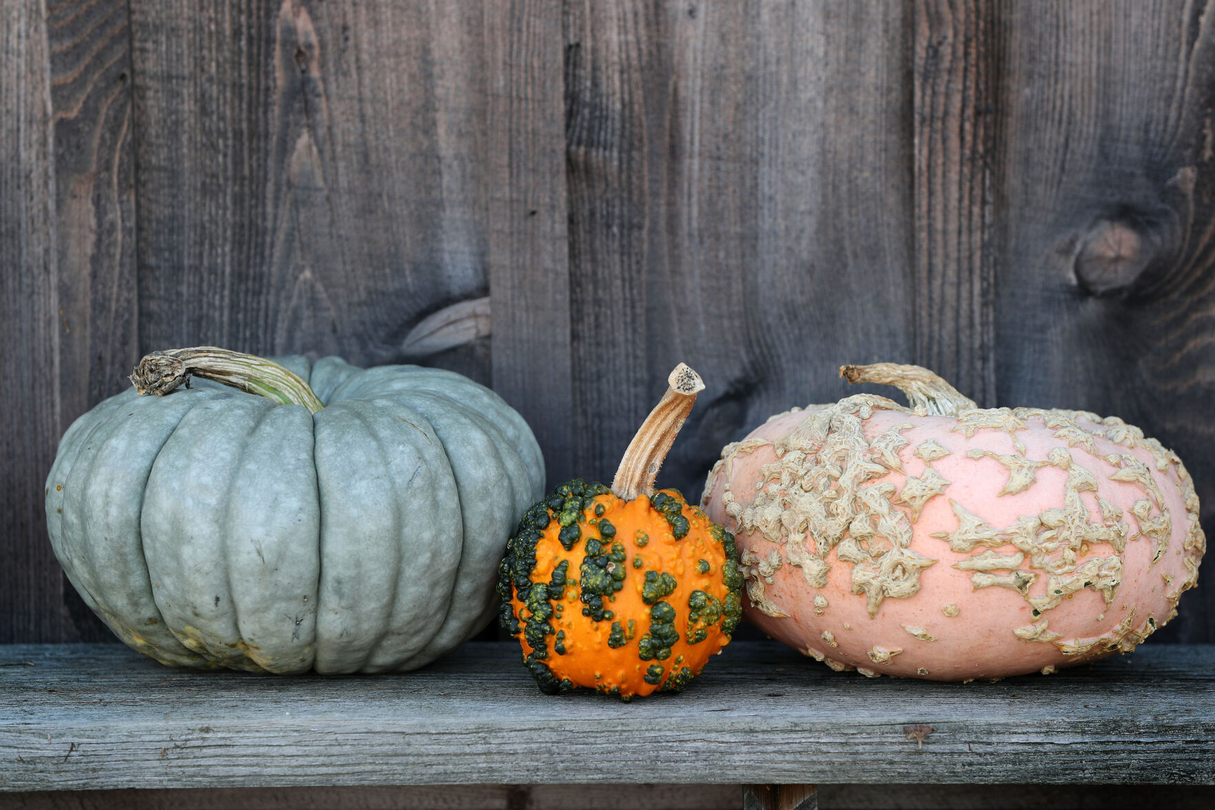 A trio of wacky pumpkins